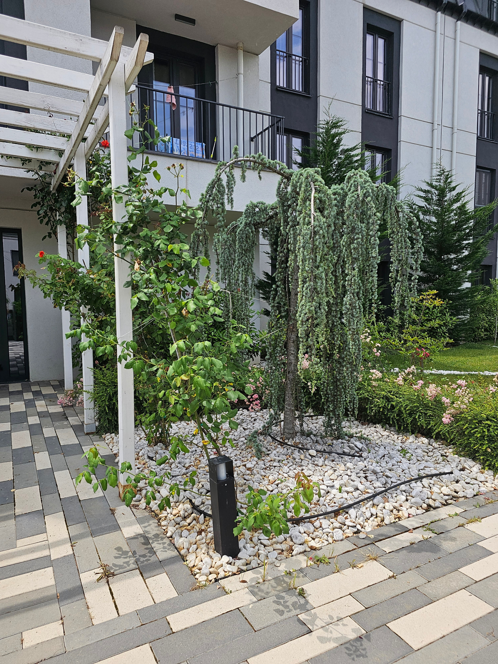 Продава 2-СТАЕН, гр. София, Драгалевци, снимка 2 - Апартаменти - 46515434