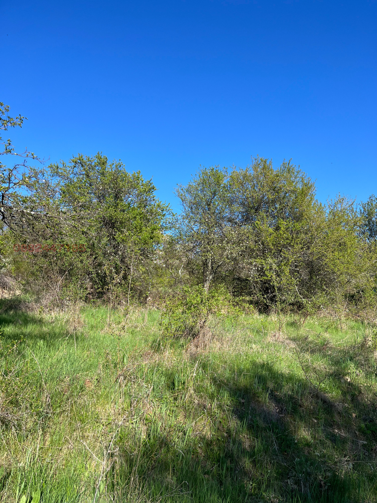 Продава ПАРЦЕЛ, с. Горна Диканя, област Перник, снимка 2 - Парцели - 54310963