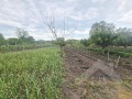 Продава КЪЩА, с. Раковски, област Добрич, снимка 5