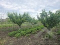 Продава КЪЩА, с. Раковски, област Добрич, снимка 4