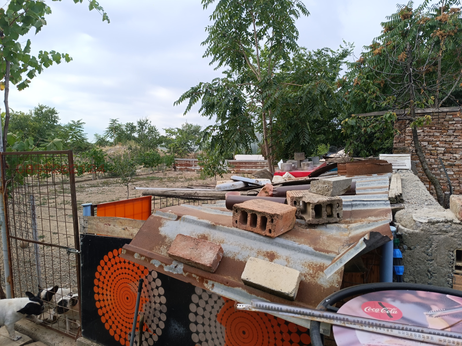 ������� ������ | Imot.bg � ����������� 3