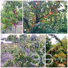 ������� ���� | Imot.bg � ����� ������ 13