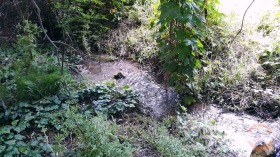 ������� ���� | Imot.bg � ����� ������ 16