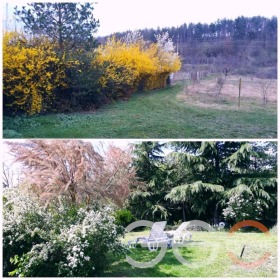 ������� ���� | Imot.bg � ����� ������ 11