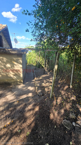 ������� ���� | Imot.bg � ����� ������ 9