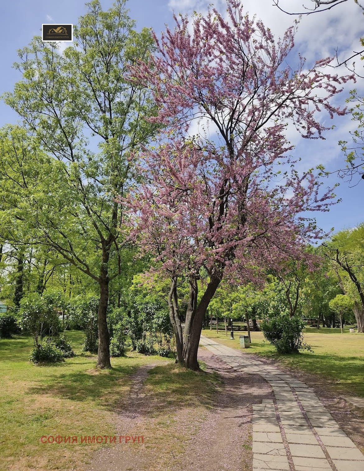 ������� 3-����� | Imot.bg � ����������� 1