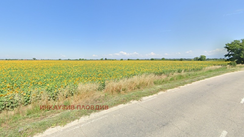 Te koop  Land regio Plovdiv , Rogosj , 10 dka | 94246223