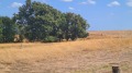 Продава ПАРЦЕЛ, област Бургас, с. Лозенец • 30060 € • 17795083 — Holmes.bg