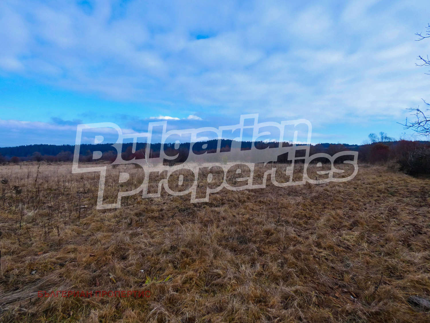 Продава ЗЕМЕДЕЛСКА ЗЕМЯ | Imot.bg — изображение 3