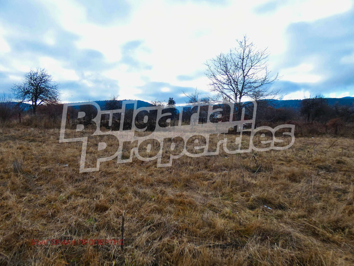 Продава ЗЕМЕДЕЛСКА ЗЕМЯ | Imot.bg — изображение 6