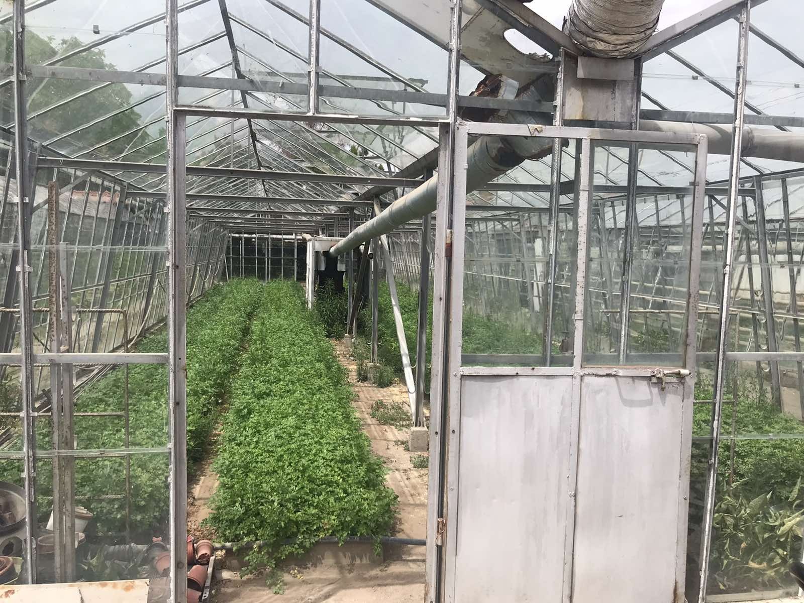 Продава КЪЩА, с. Костиево, област Пловдив, снимка 9 - Къщи - 54370310