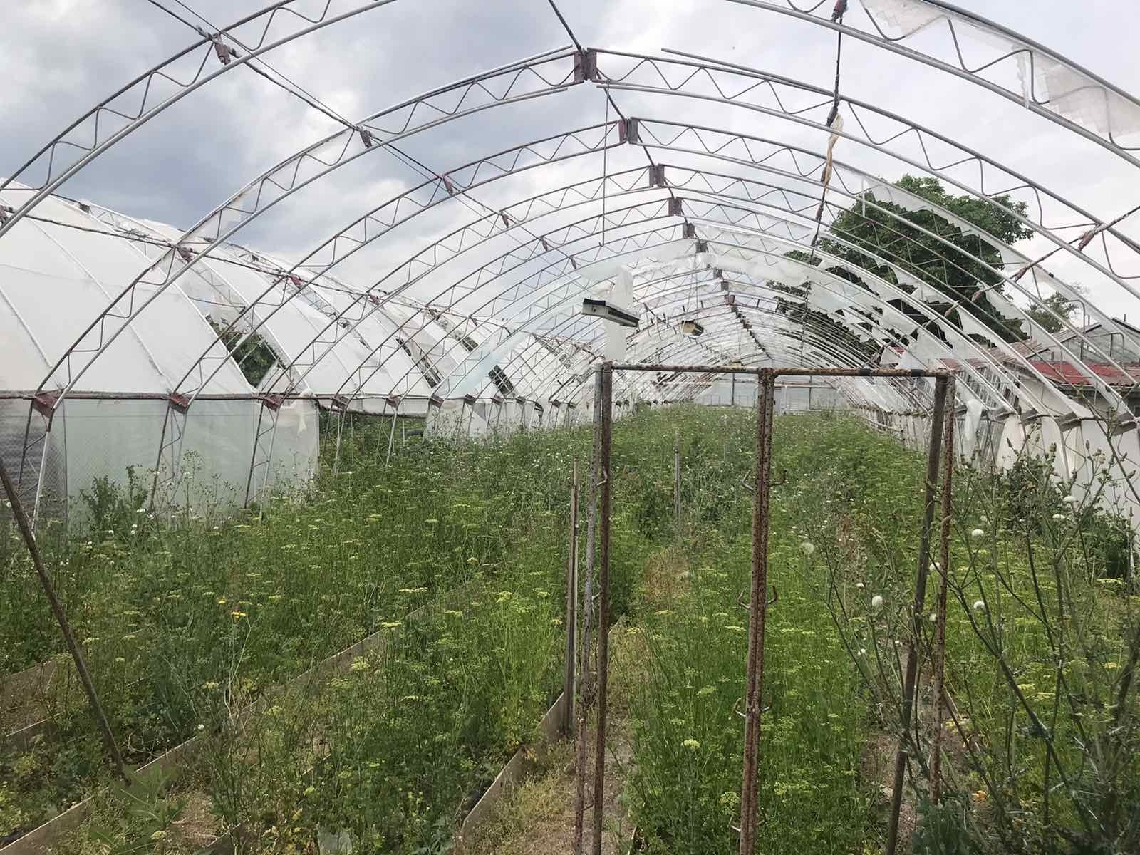 Продава КЪЩА, с. Костиево, област Пловдив, снимка 5 - Къщи - 54370310