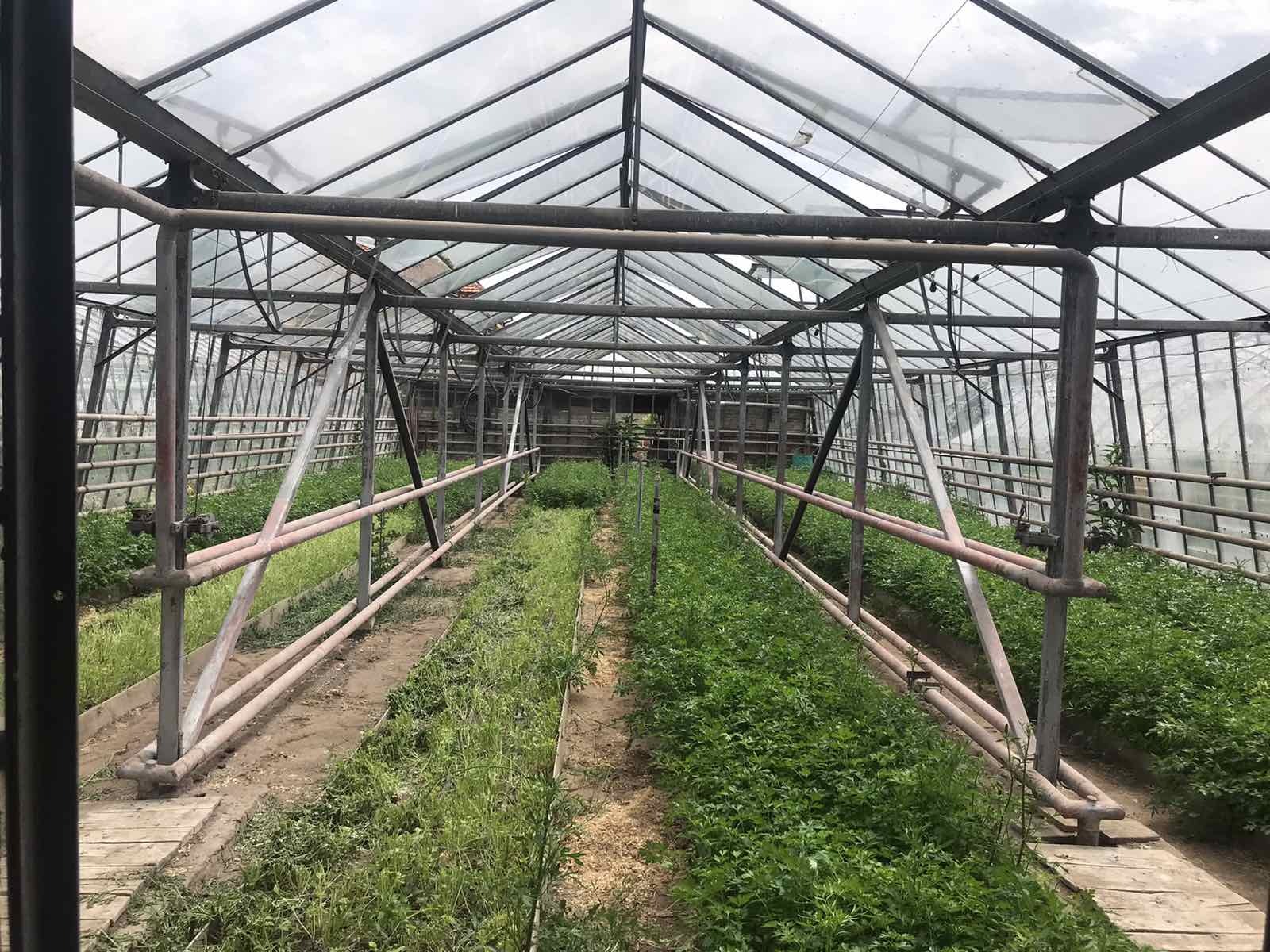 Продава КЪЩА, с. Костиево, област Пловдив, снимка 6 - Къщи - 54370310