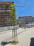 Продава 2-СТАЕН, гр. София, Център, снимка 6