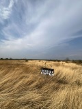 Продава ПАРЦЕЛ, с. Първенец, област Пловдив, снимка 1