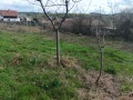 Продава ПАРЦЕЛ, с. Николово, област Русе, снимка 5