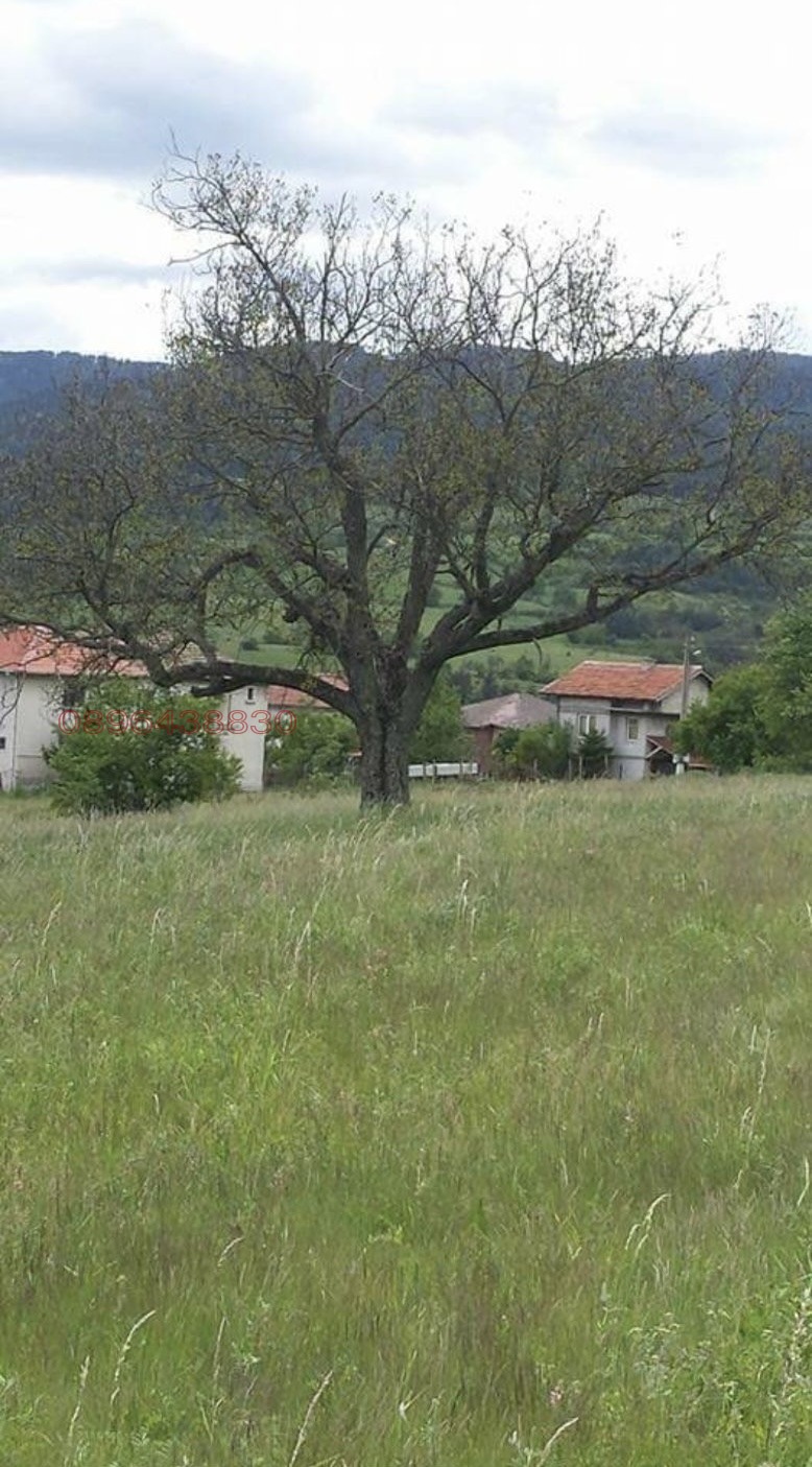 ������� ������ | Imot.bg � ����������� 1