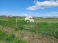 Продава  Парцел област Пловдив , с. Момино село , 5000 кв.м | 83869613 - изображение [2]