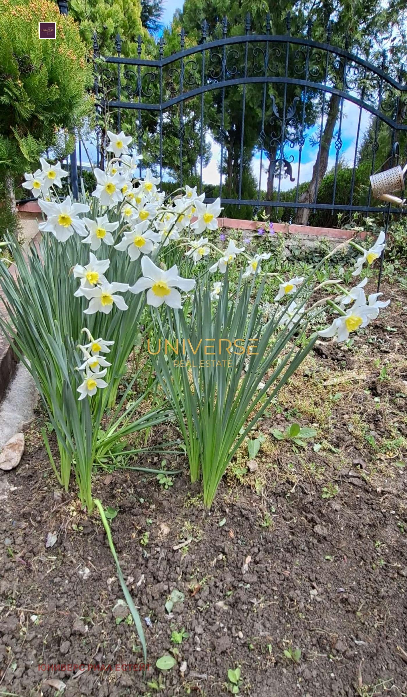 ������� 2-����� | Imot.bg � ����������� 17