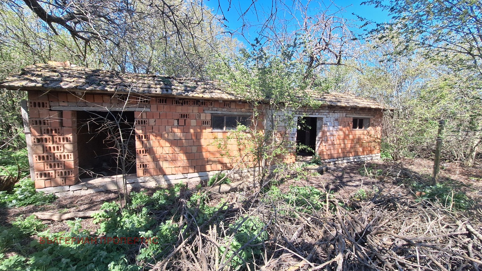 ������� ���� | Imot.bg � ����������� 17