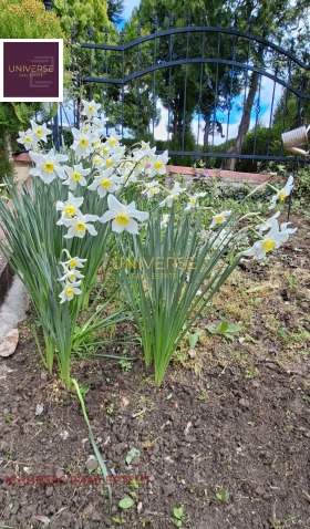 ������� 2-����� | Imot.bg � ����� ������ 17