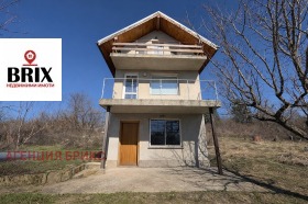 ������ ������� ����