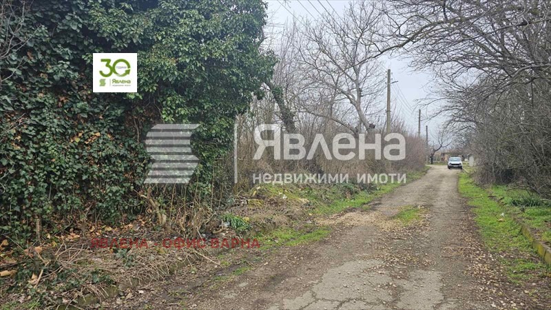 Продава КЪЩА, с. Николаевка, област Варна, снимка 6 - Къщи - 54920148