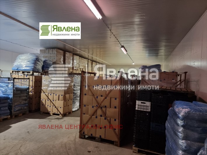 For Sale  Industrial building region Shumen , Veliki Preslav , 1250 sq.m | 22282624 - image [8]