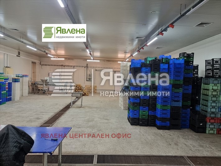 For Sale  Industrial building region Shumen , Veliki Preslav , 1250 sq.m | 22282624 - image [5]