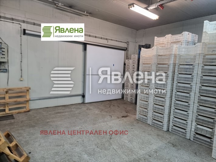 For Sale  Industrial building region Shumen , Veliki Preslav , 1250 sq.m | 22282624 - image [7]