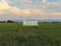 Продава ПАРЦЕЛ, град Пловдив, Индустриална зона - Юг • 118000 € • 51504039 — Holmes.bg
