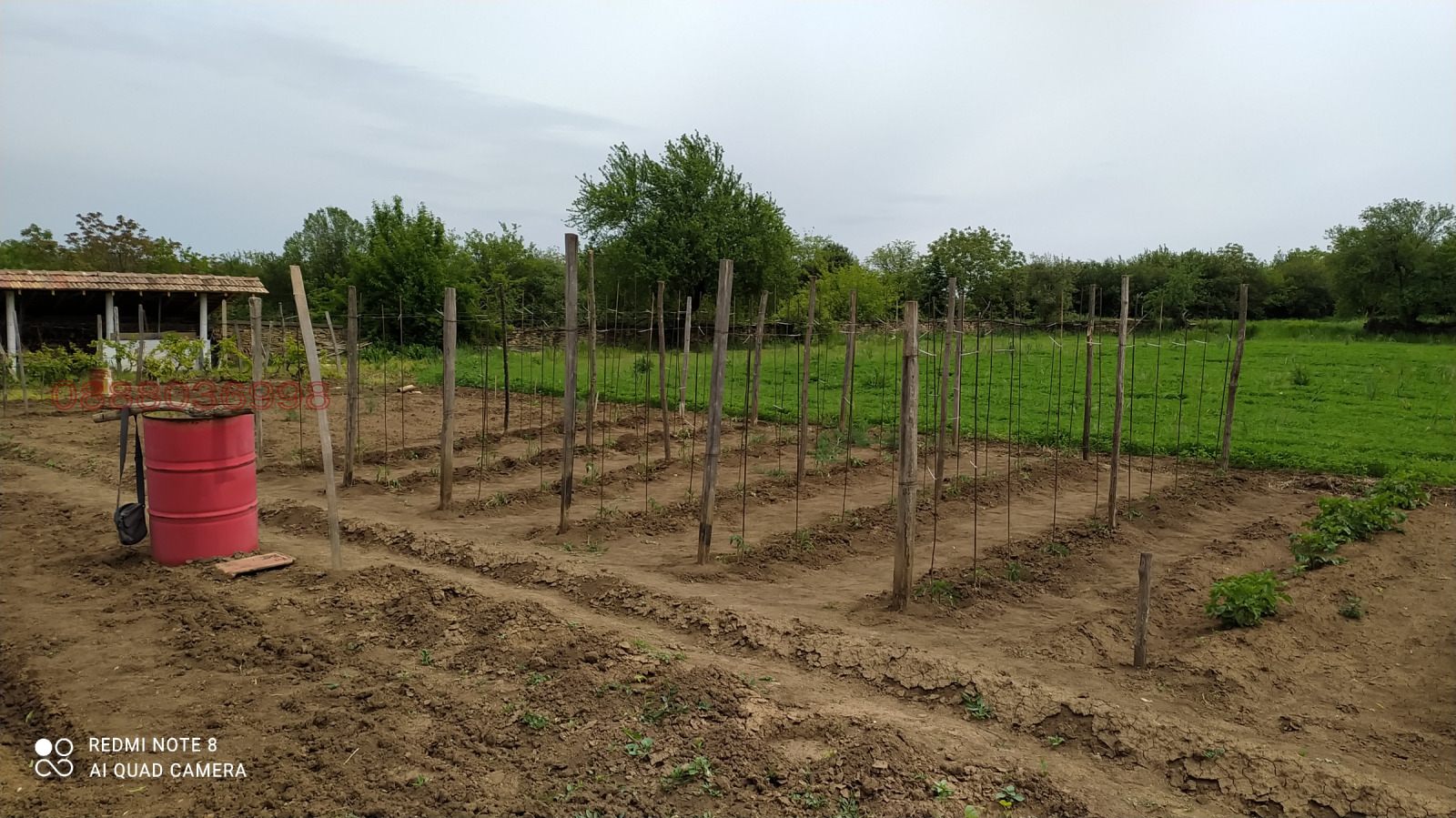Продава КЪЩА, с. Дъскот, област Велико Търново, снимка 3 - Къщи - 54154380