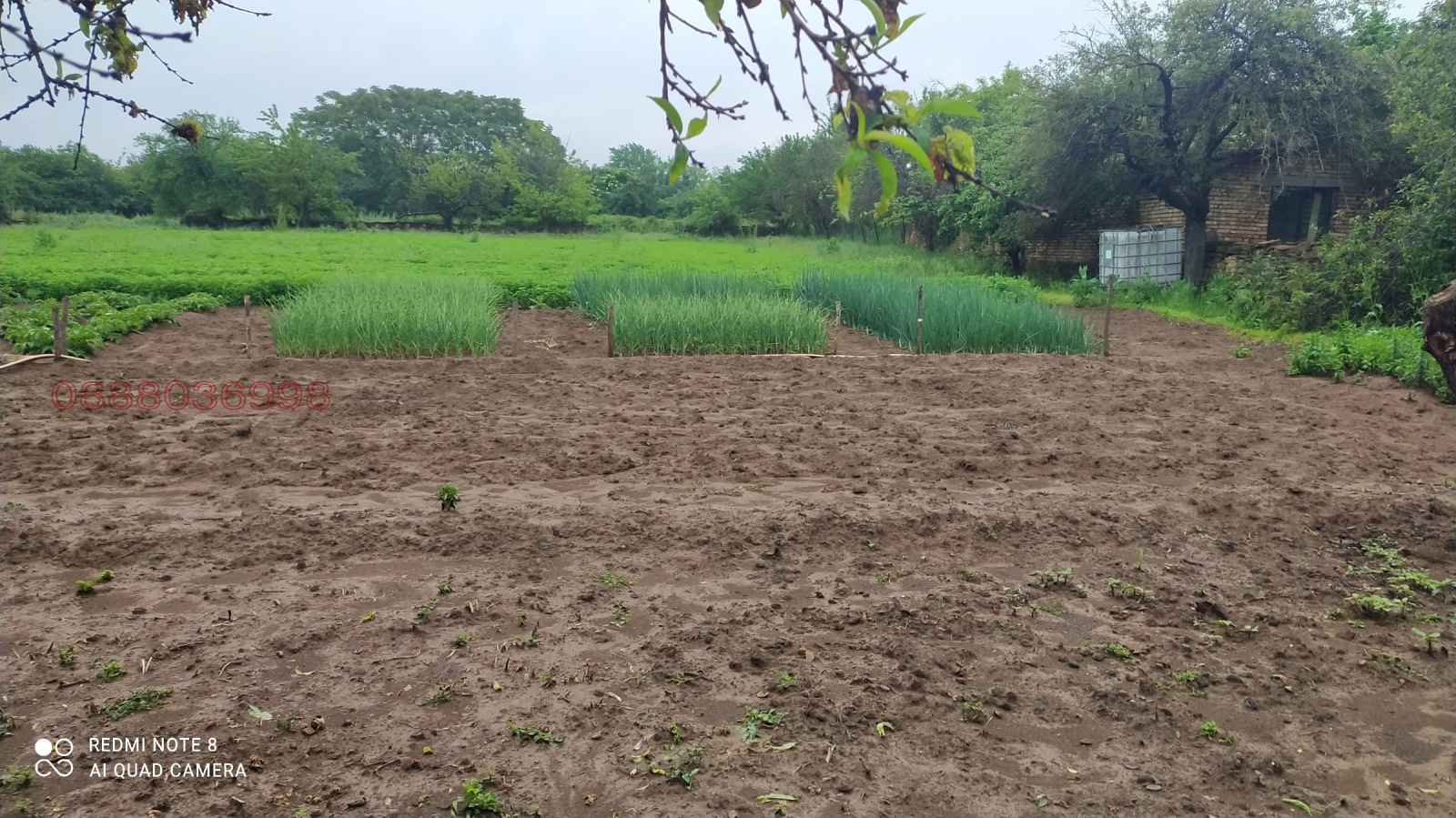 Продава КЪЩА, с. Дъскот, област Велико Търново, снимка 4 - Къщи - 54154380
