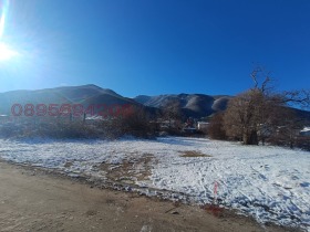 ������ ������� ������