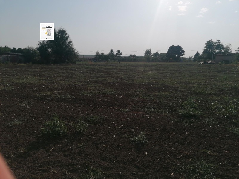 Продается  Сюжет область Добрич , Полковник Минково , 3800 кв.м | 69066044 - изображение [3]
