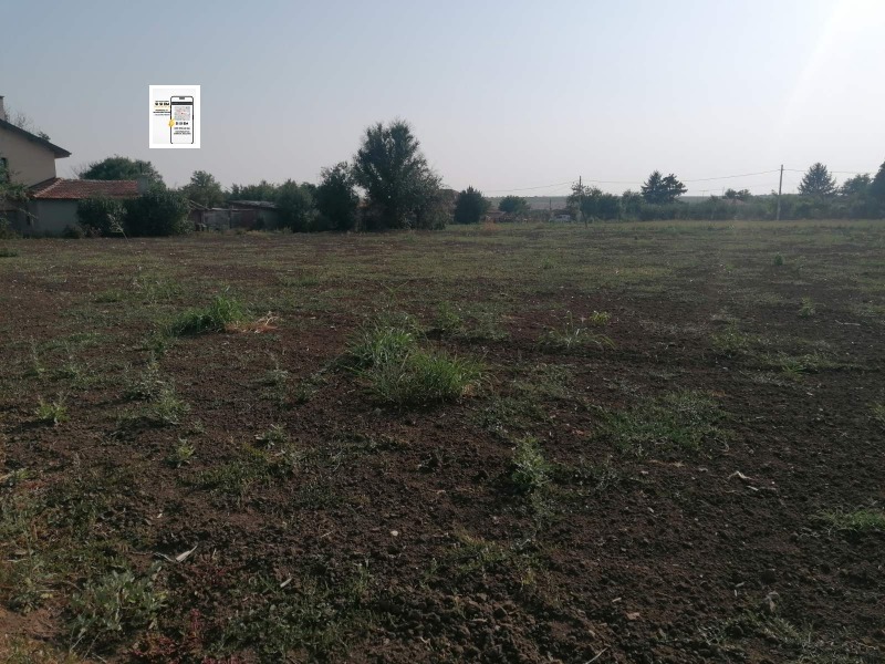Продается  Сюжет область Добрич , Полковник Минково , 3800 кв.м | 69066044 - изображение [4]