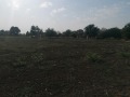Продава ПАРЦЕЛ, област Добрич, с. Полковник Минково • 80000 € • 96094973 — Holmes.bg