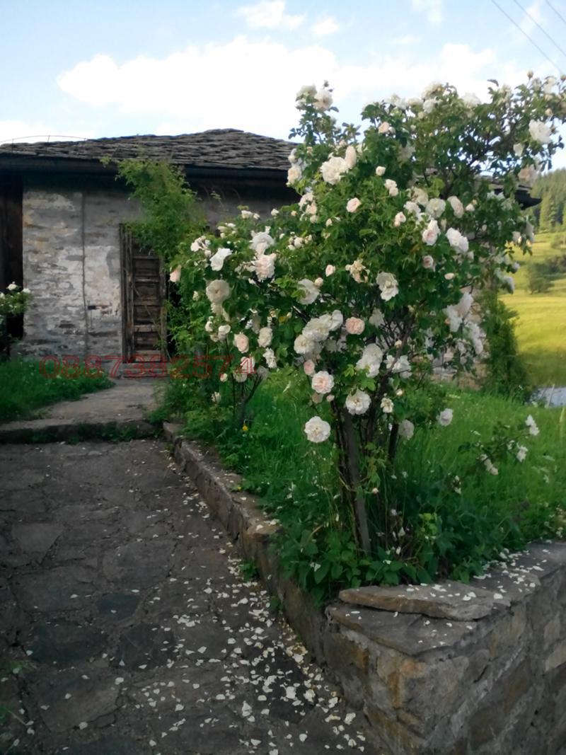 Продава КЪЩА, с. Широка лъка, област Смолян, снимка 7 - Къщи - 52781478