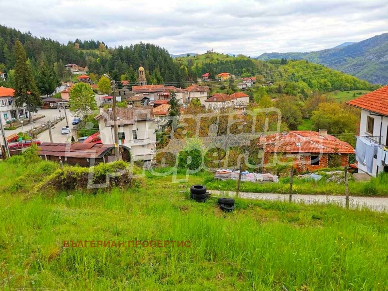 Til salgs  Plott region Plovdiv , Borovo , 898 kvm | 12404852 - bilde [5]