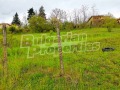 Продава ПАРЦЕЛ, с. Борово, област Пловдив, снимка 2