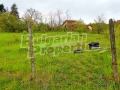Продава ПАРЦЕЛ, с. Борово, област Пловдив, снимка 2