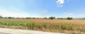Продава ПАРЦЕЛ, област Пловдив, с. Граф Игнатиево • 53000 лв. • 66777459 — Holmes.bg