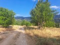 Продава ПАРЦЕЛ, с. Хвойна, област Смолян, снимка 3