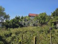 Продава  Парцел град Варна , к.к. Златни пясъци , 551 кв.м | 72169413 - изображение [12]