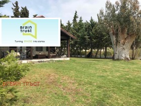 ����� ������� ����,���������, ������