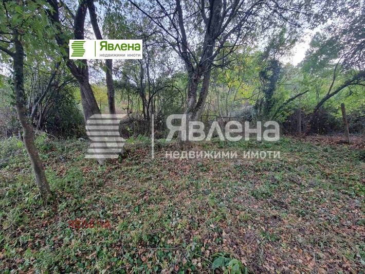 Продава КЪЩА, с. Бучин проход, област София област, снимка 15 - Къщи - 54295921