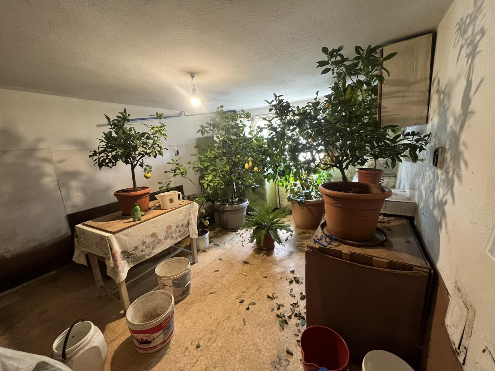 Продава ЕТАЖ ОТ КЪЩА, гр. Казанлък, област Стара Загора, снимка 6 - Етаж от къща - 54079954