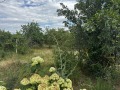 Продава  Къща област Варна , с. Доброплодно , 80 кв.м | 69412895 - изображение [3]