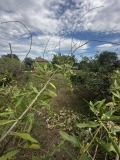 Продава  Къща област Варна , с. Доброплодно , 80 кв.м | 69412895 - изображение [2]