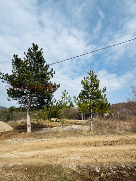 ������� ������ | Imot.bg � ����� ������ 6